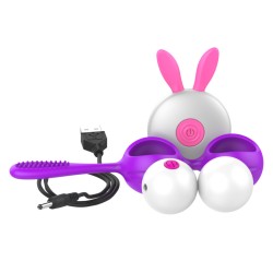 wireless kegal balls with clit brush